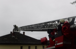 Villámcsapáshoz, leszakadt ágakhoz vonultak a tűzoltók