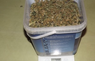 Két kilogramm füvet talált Norga egy lakásban