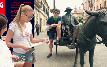 Nyakunkon a Rippl-feszt, a kaposváriakat kérdeztük a fellépőkről