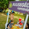 A GALÉRIÁÉRT KATTINTSON A KÉPRE!