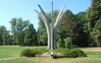 Kaposvári legendák 25. – A Cseri park