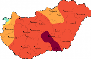 Magas parlagfű pollenterhelés várható