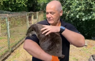 Szolgálat után vidrákat ment a nagyatádi mentős