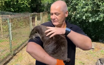 Szolgálat után vidrákat ment a nagyatádi mentős