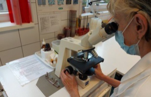 Mikrobiológiai laboratóriumát fejlesztette a kaposvári kórház