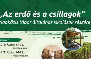 Napközis tábor általános iskolások részére
