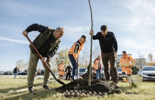 Új konstrukcióban zöldülnek a közutak menti területek