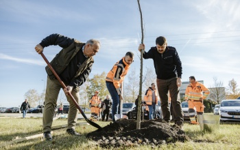 Új konstrukcióban zöldülnek a közutak menti területek