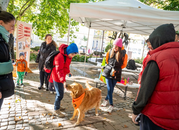 Állatbarát napot rendezett a 115 éves Gárdonyi iskola