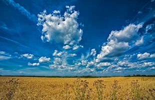 OMSZ: idén először (kerekítve) érte el a hőmérséklet a 30 Celsius-fokot