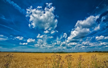 OMSZ: idén először (kerekítve) érte el a hőmérséklet a 30 Celsius-fokot