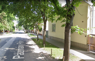 Faültetési munkálatokra számíthatnak a Pázmány Péter utca lakói