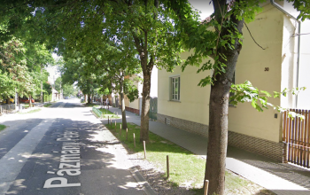 Faültetési munkálatokra számíthatnak a Pázmány Péter utca lakói