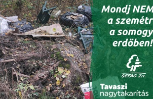 Ön is csatlakozhat az erdő megtisztításához a Zselici Csillagparknál