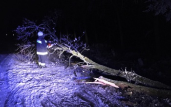 Zúzmarával és köddel támadott a tél Kadarkút környékén