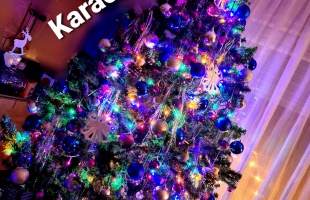 Edina karácsonyfája