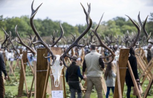 A világ élvonalában a magyar vadgazdálkodás