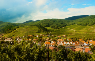 Miért választják egyre többen a vidéki életet családalapításkor?