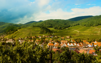 Miért választják egyre többen a vidéki életet családalapításkor?