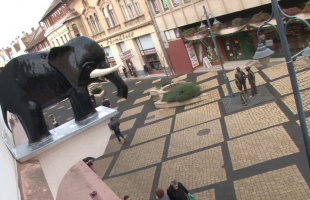 A fekete elefánt vigyáz ránk az Ady utcában