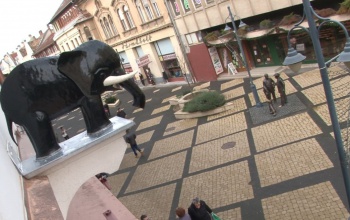 A fekete elefánt vigyáz ránk az Ady utcában