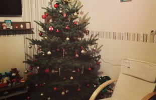 Nagy Nikoletta karácsonyfája