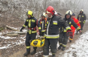 Az erdei kirándulások veszélyeire hívja fel a figyelmet a katasztrófavédelem