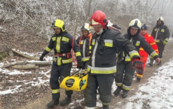 Az erdei kirándulások veszélyeire hívja fel a figyelmet a katasztrófavédelem