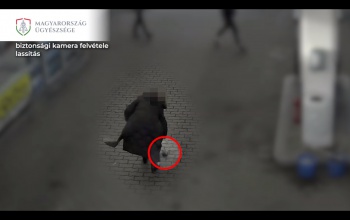 Kivette a nő a 93 ezer forintot a pénztárcából és csak utána adta le
