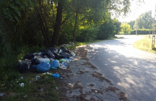 Szemétlerakónak nézik az egyik kaposvári utcát