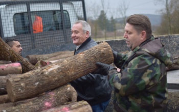 Szociális tűzifa melegít Hajmáson