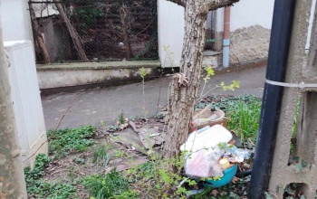 Megtisztult a Mikszáth Kálmán utca