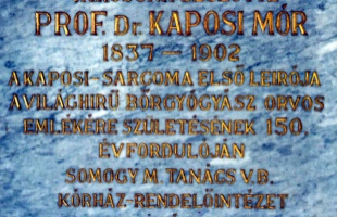 Kaposi doktor változó világa