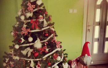 Barbi karácsonyfája