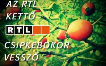 Nem tud megélni az RTL Klub és a TV2?