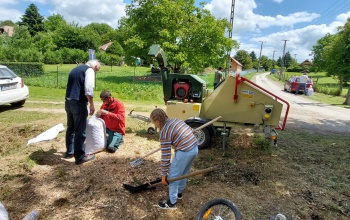 Ingyenes ágdarálási nap a Desedán – sokan éltek a lehetőséggel