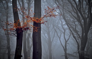 Enyhe, de borult idő várható