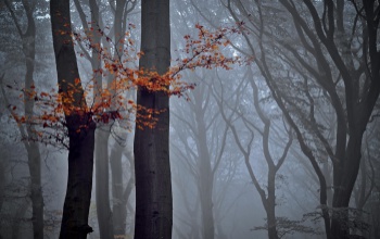 Enyhe, de borult idő várható