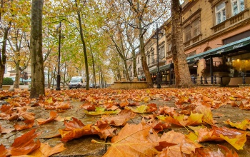 Schmall Rafael: Eső egy jobb idő reményében