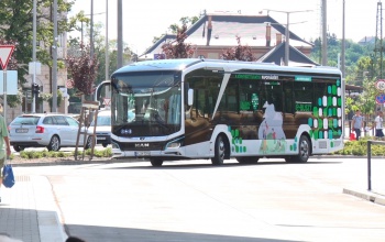 Két új elektromos busz is érkezhet idén Kaposvárra - a MAN tesztbuszát mi is kipróbáltuk