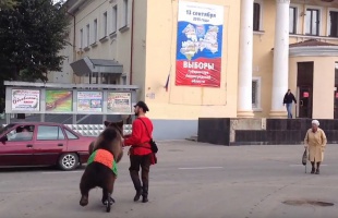 Medvével ment szavazni az orosz férfi