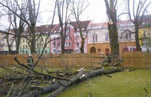 Minél előbb jelentsük be a viharkárokat!