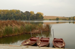 Esős, őszi Deseda