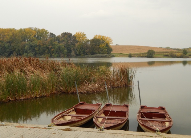 Esős, őszi Deseda
