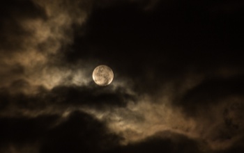 Idén is egy rémisztő közös futásra invitálják a kaposvári sportimádókat