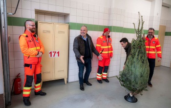 Nagy István: 256 mentőállomásra juttatnak el fenyőfákat karácsonyig
