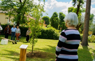 Emlékfát ültettek Hartner Rudolf egykori főkertész tiszteletére