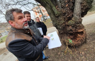 Faültetés, rózsalugas, új burkolatok: megújul a Színház park - videó