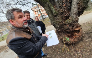 Faültetés, rózsalugas, új burkolatok: megújul a Színház park - videó