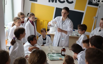 Gumimaci híd építés, békaboncolás, kreatív írás – negyedikeseket vár a kaposvári MCC!